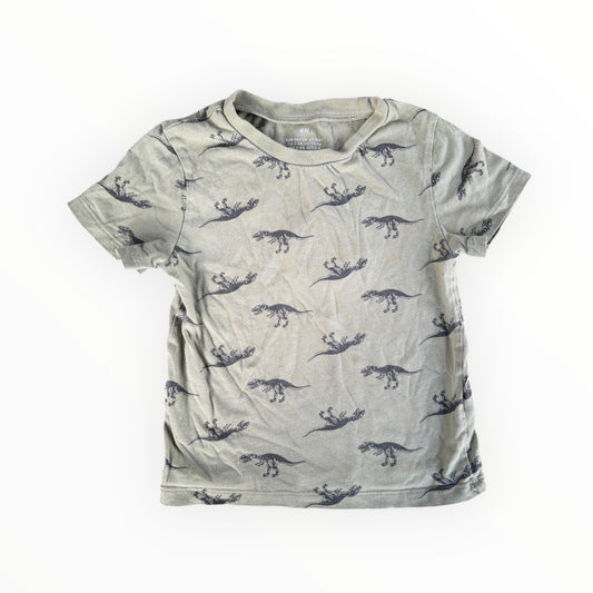 3/4t Dino tee