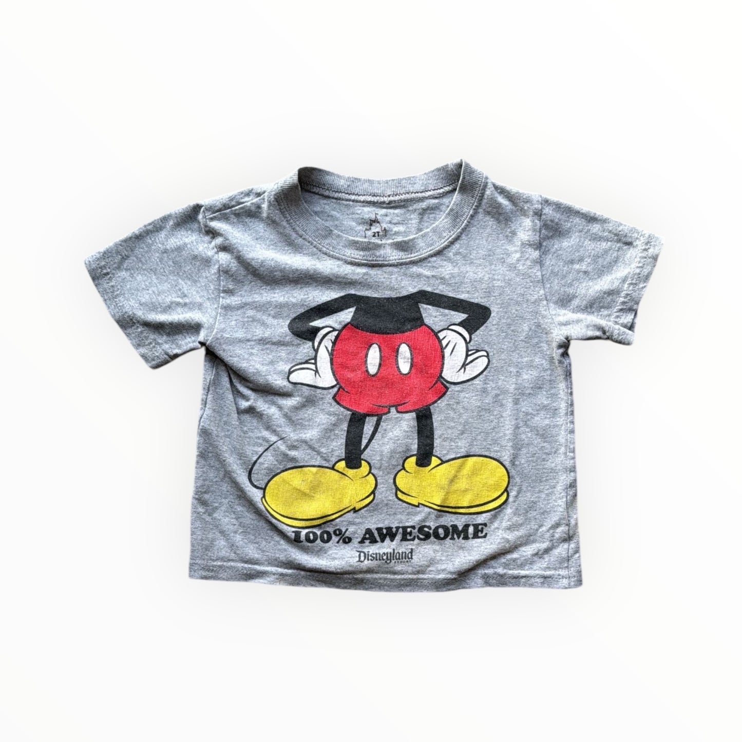 2t Disney top